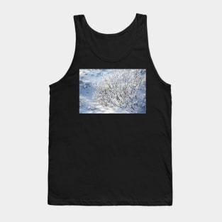 Hoarfrost on Arctic Willow Tank Top